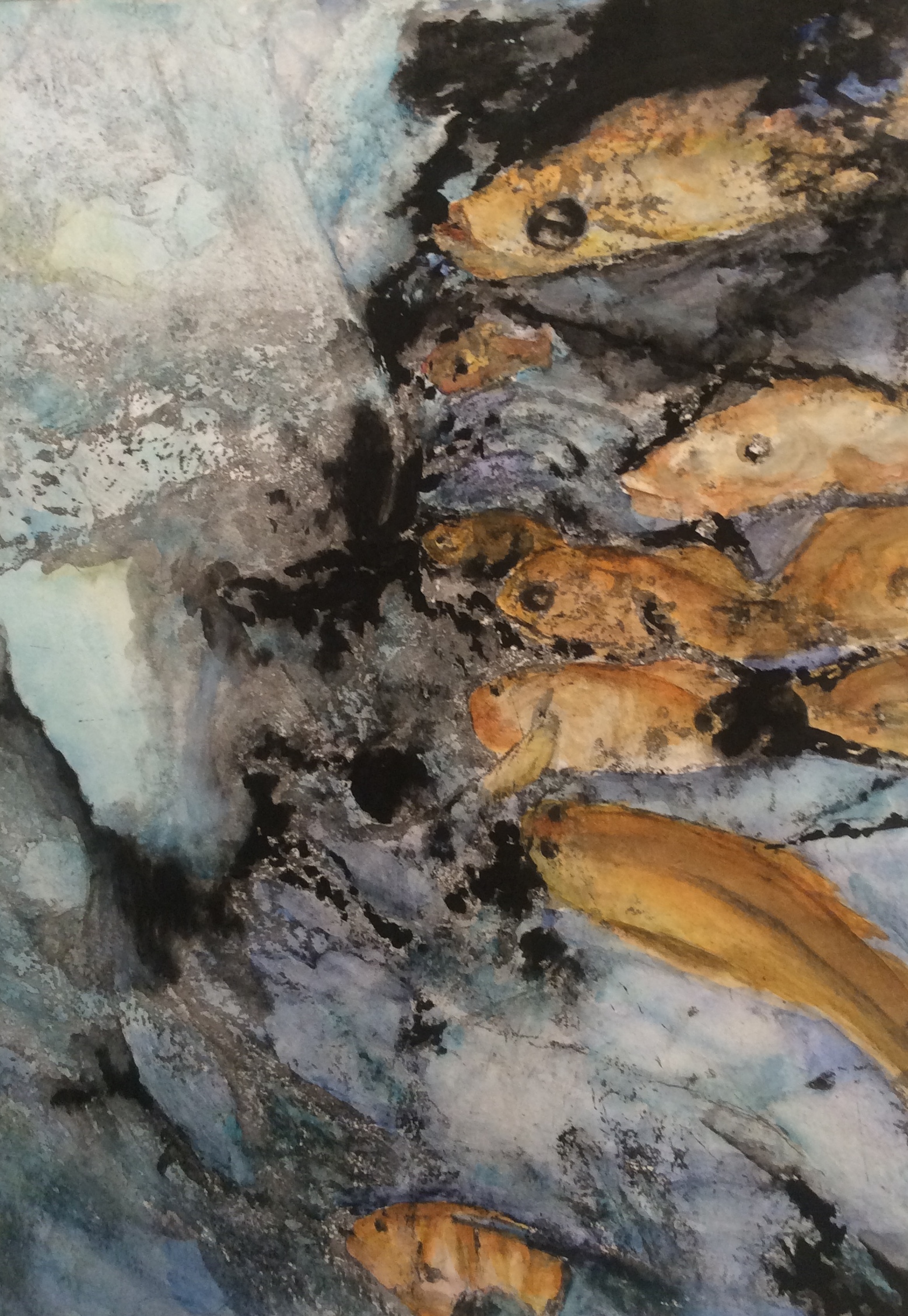 Poissons
